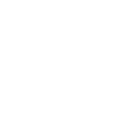 AAP Logo